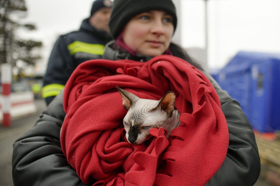 A refugee stands outside wearing a warm coat and holding a red blanket wrapped around their pet cat.