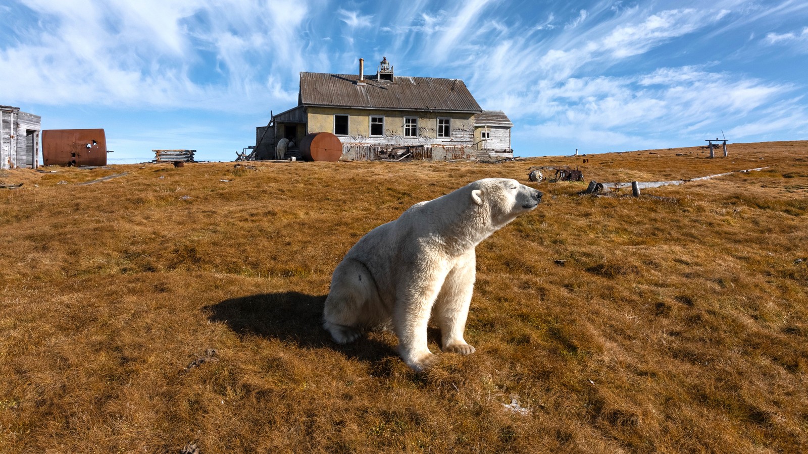 polarbear in Kochi ✨ ルイヴィトン　ラ アルティモン polarbear in Kochi 様専用✨ ルイヴィトン ラ アルティモン