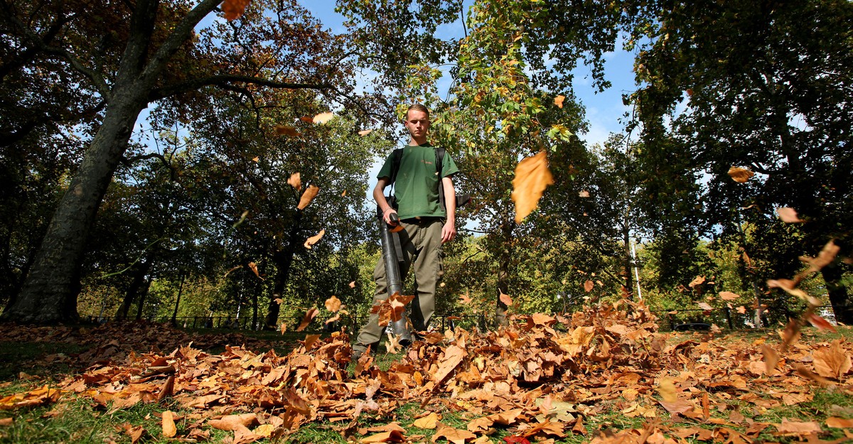A Protection of the Leaf Blower Networkwayout