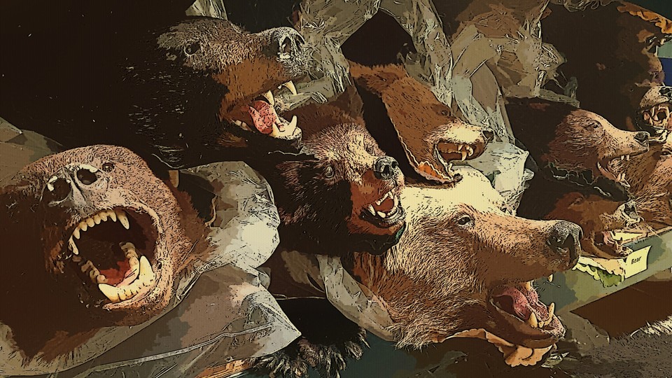 An illustrated pile of stuffed bear heads