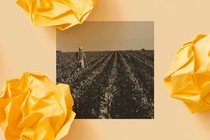 A photo of a man standing in a crop field is surrounded by three balls of crumpled yellow paper.