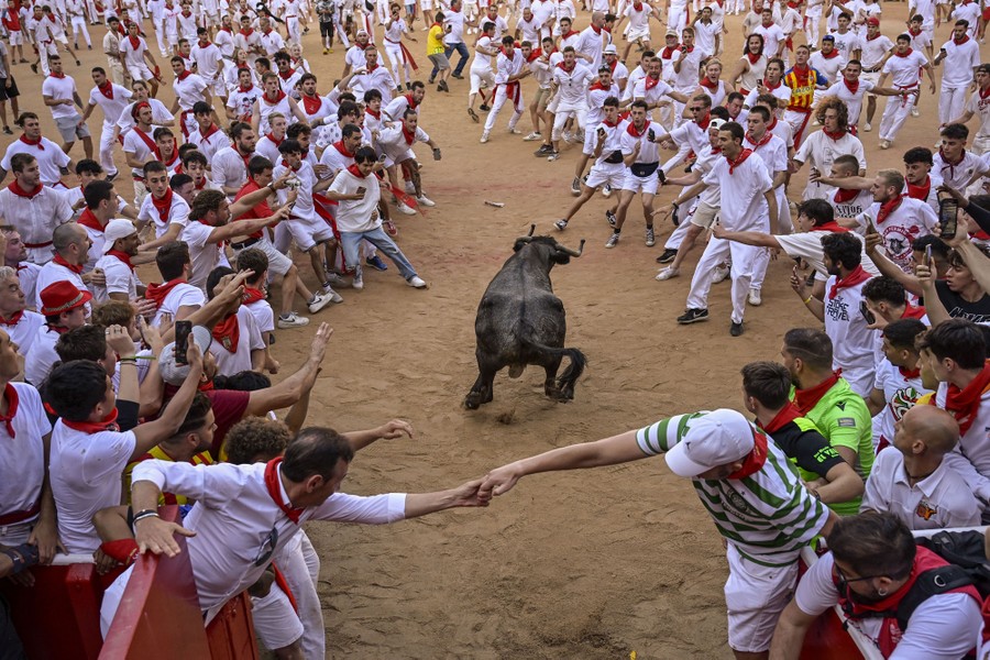 A crowd of people backs away from a running steer inside a bullring.