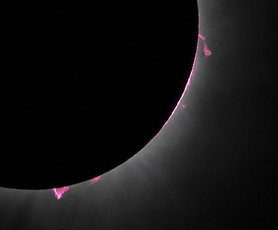 A close view of the sun eclipsed by the moon, with jet-like solar prominences visible along the edge