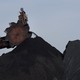 A large machine with a round head loads coal into piles at a coal plant in Letart, West Virginia.