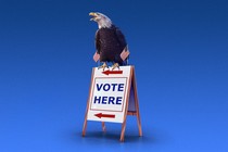 An eagle sitting on a "Vote Here" sign