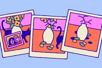 Three photos, from left: a cat, a vase of flowers, and a framed picture of a happy couple; flower petals and leaves falling and only part of a cat; a plant devoid of flowers and leaves, and no more cat