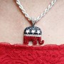 A close-up photograph of a woman wearing a red shirt and a sparkly necklace with a Republican elephant pendant