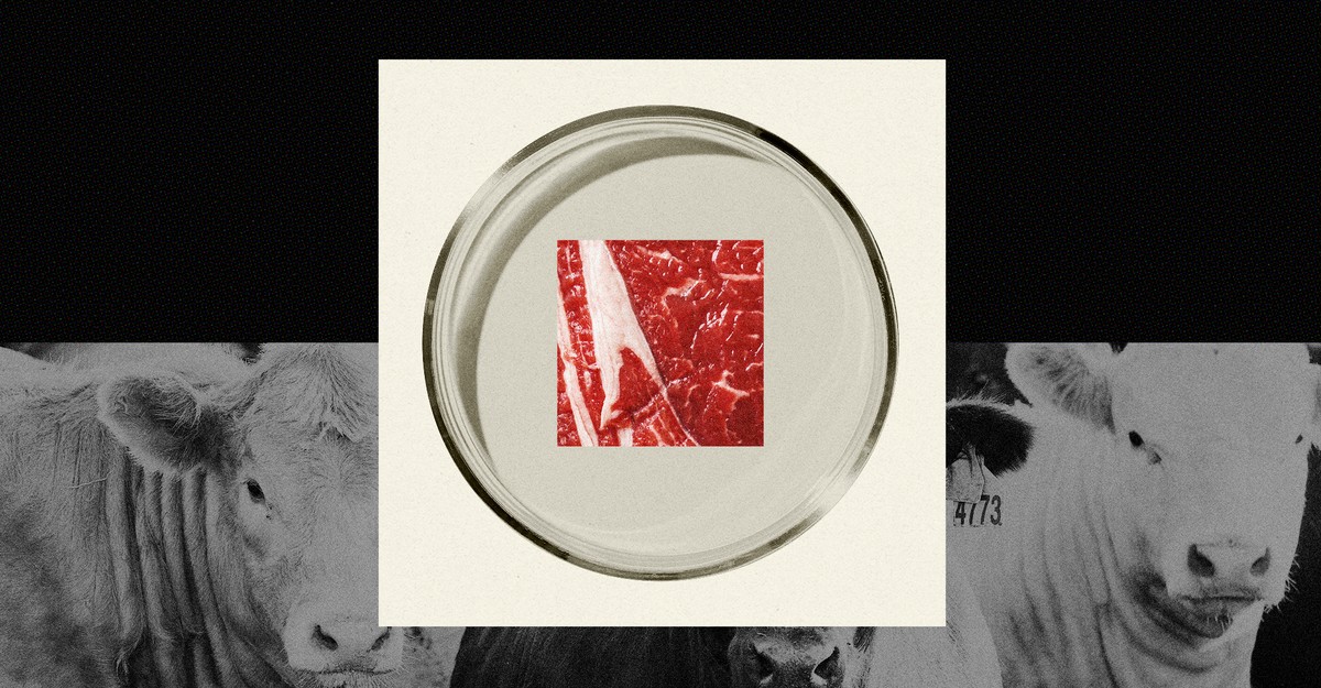 The Anti-Meat Optimist