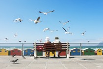 Two elderly people enjoy lunch on a bench in front of seagulls