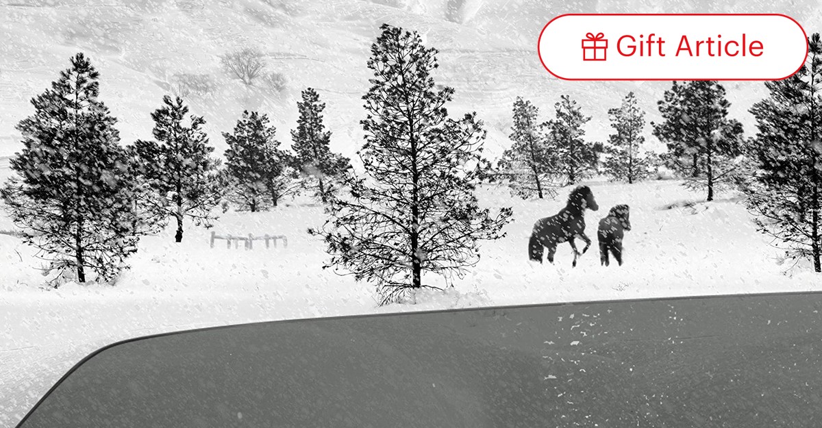 洋書 Kiarostami:Images, Still and Moving Abbas Kiarostami: Images, Still and Moving by Silke von