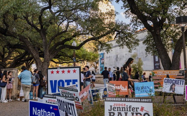 "Vote" signs on a lawn