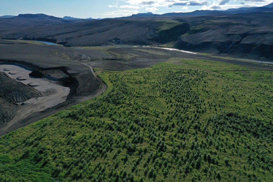 An aerial view of a newly-planted forest in a desolate volcanic valley.