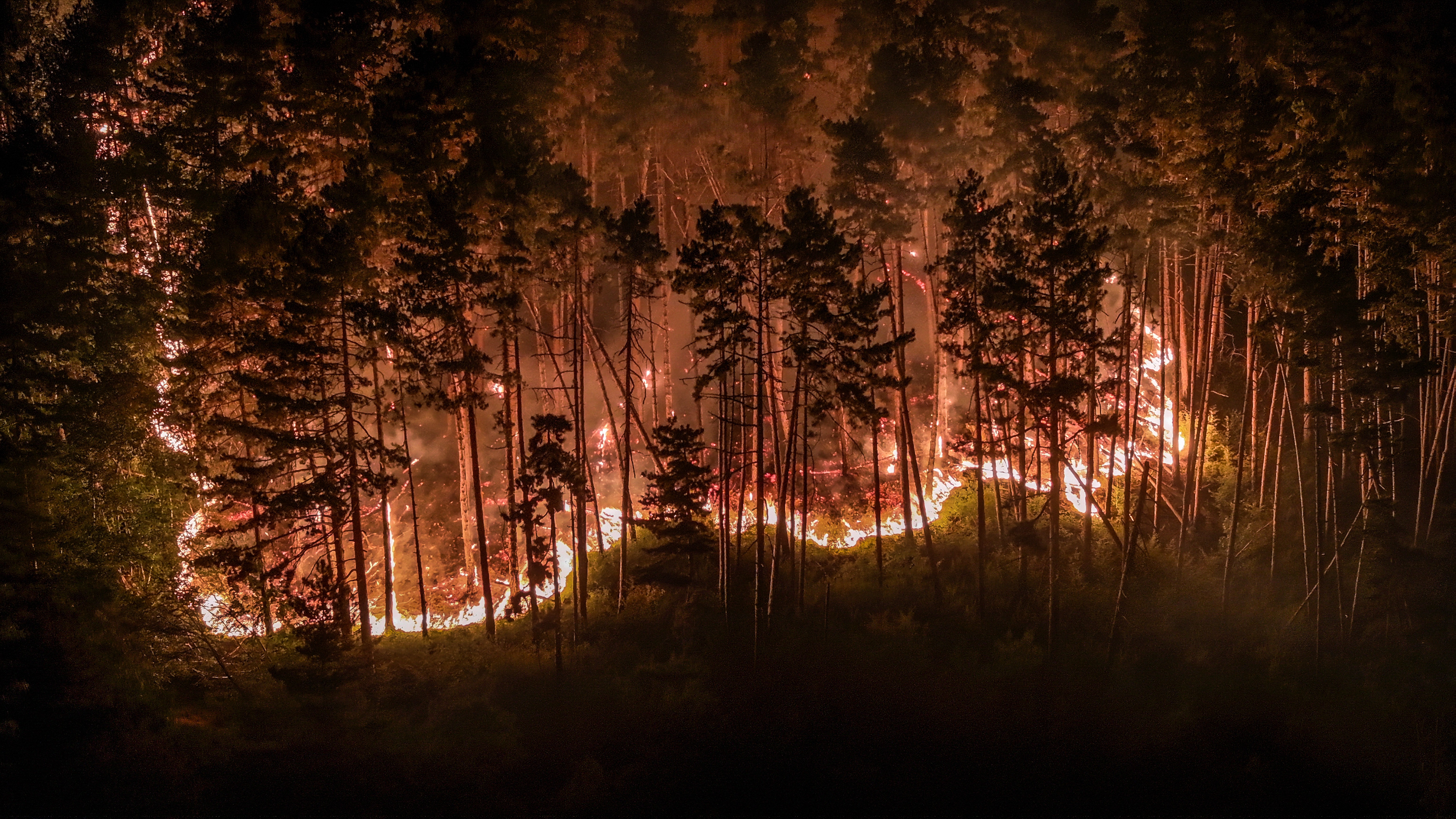 An aerial photo shows a forest fire burning at night.