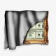 Illustration of framed $100 bills covered by fabric