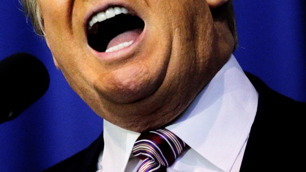 The lower half of Donald Trump's face and neck, showing his mouth open behind a microphone