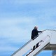 Donald Trump boards Air Force One