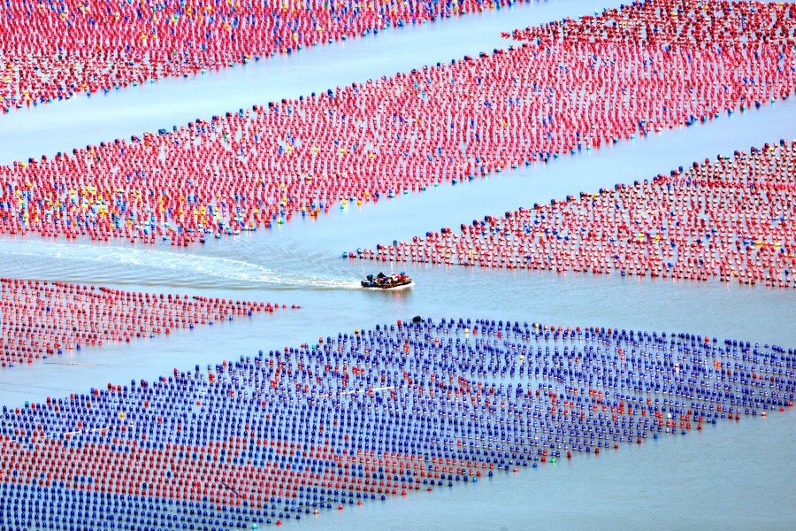 A small boat goes past many colorful small floats arranged in rectangular grids.