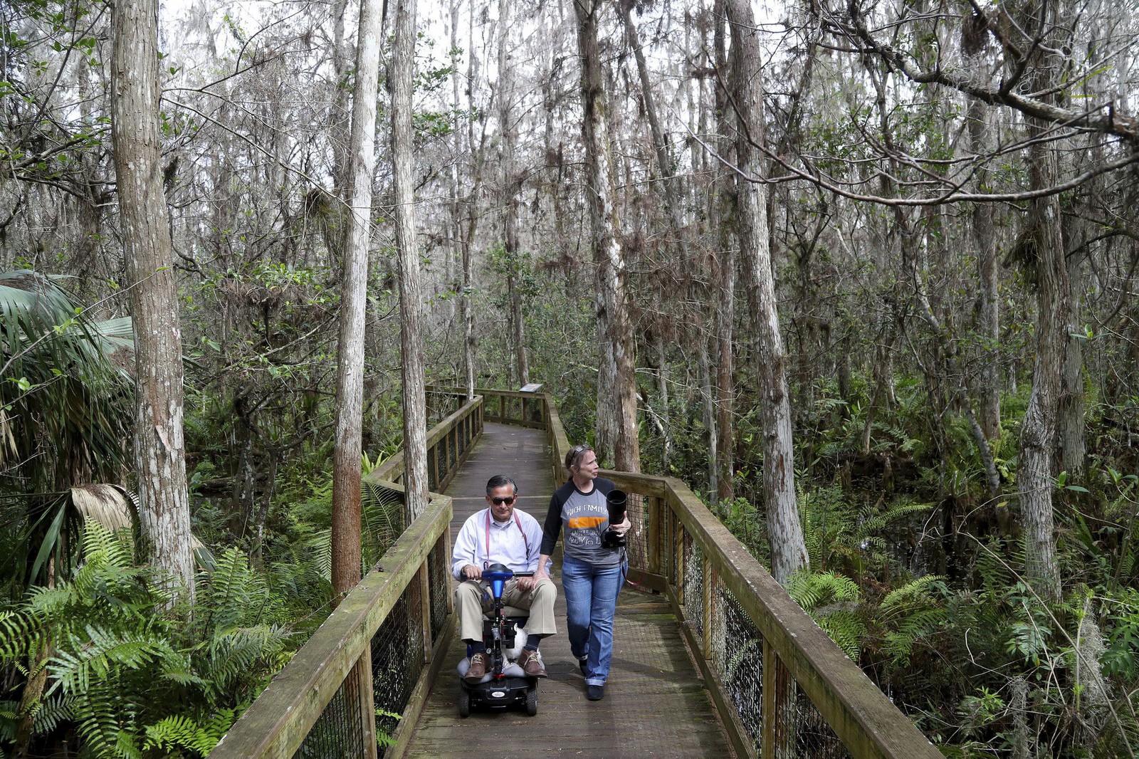 Two people walk along an elevated boardwalk through a cypress forest.