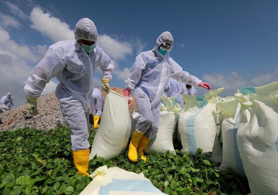 Navy members carry sacks of collected debris on a beach.