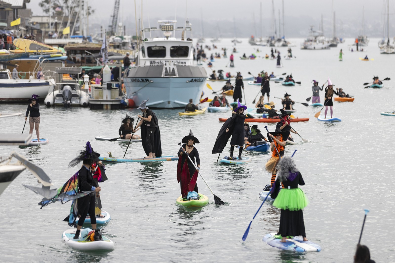 People in witch costumes navigate on stand-up paddle boards in a harbor.