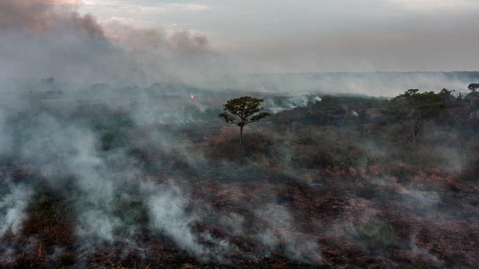 A lone tree stands among smoke in this aerial view of a forest fire in Porto Jofre, Mato Grosso state, Brazil, taken on September 5, 2021.