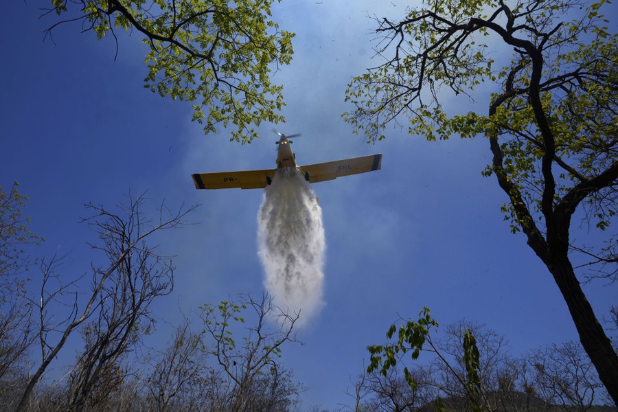A small plane drops water on a fire, caputred from below.