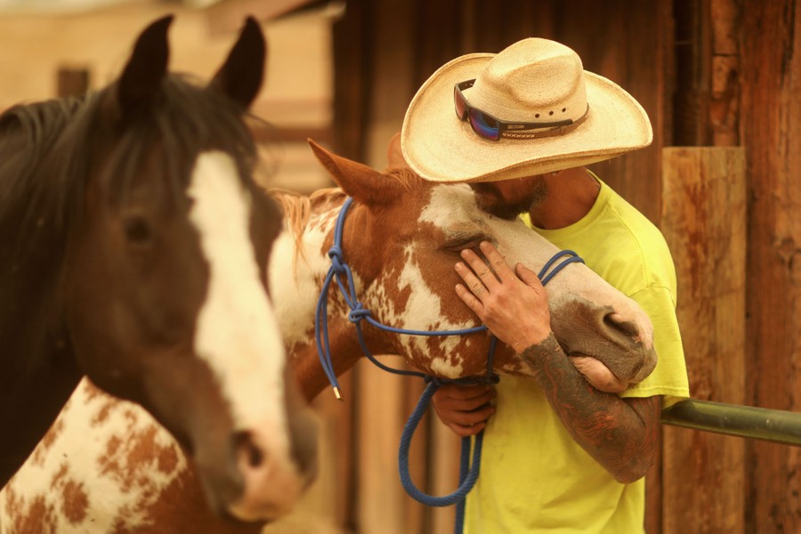 A man comforts one of two horses under a smoky orange sky.