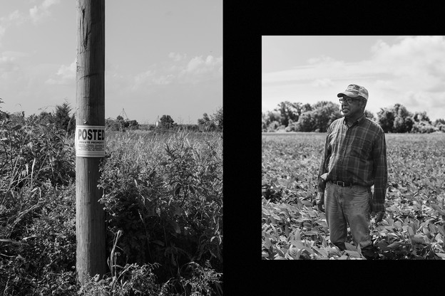 Black-and-white photo of a man standing in a field, next to a telephone pole.