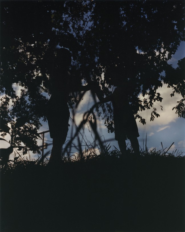 An image of two people in shadow, above shadows of grass and below shadows of trees