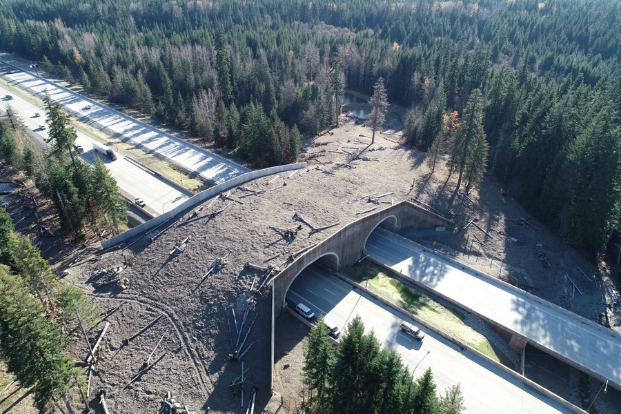 A dirt-covered bridge crosses a freeway, joining forested area on either side.