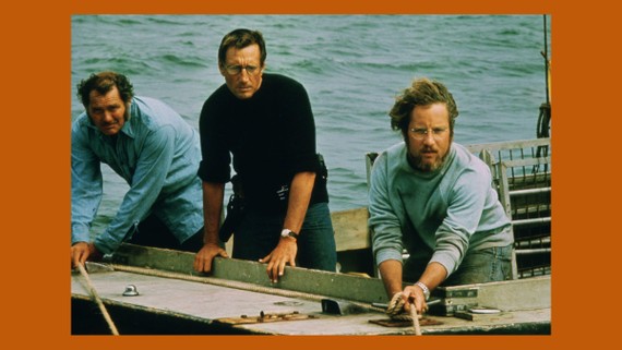 The Blockbuster That Captured a Growing American Rift