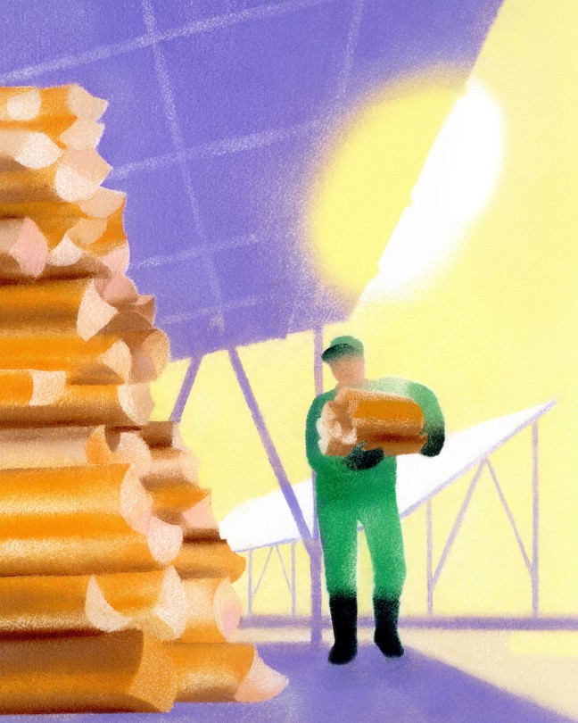 a person holds wood under solar panels