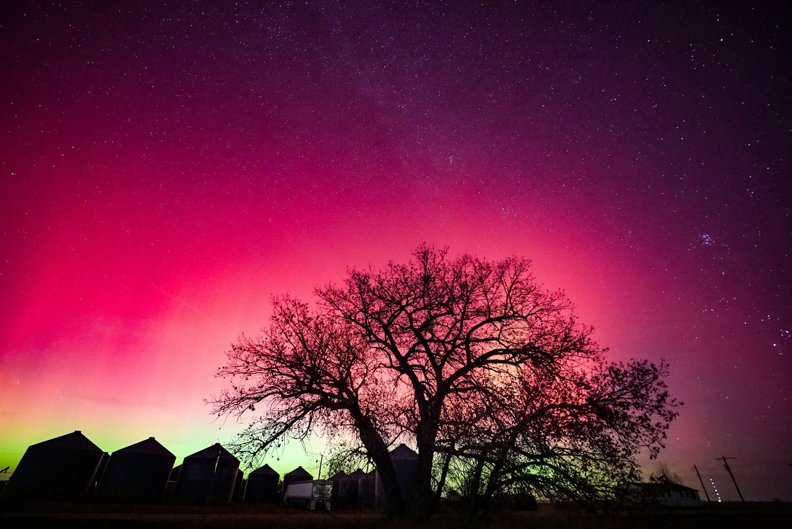 Red and green glowing light appears in the sky above houses and a tree.