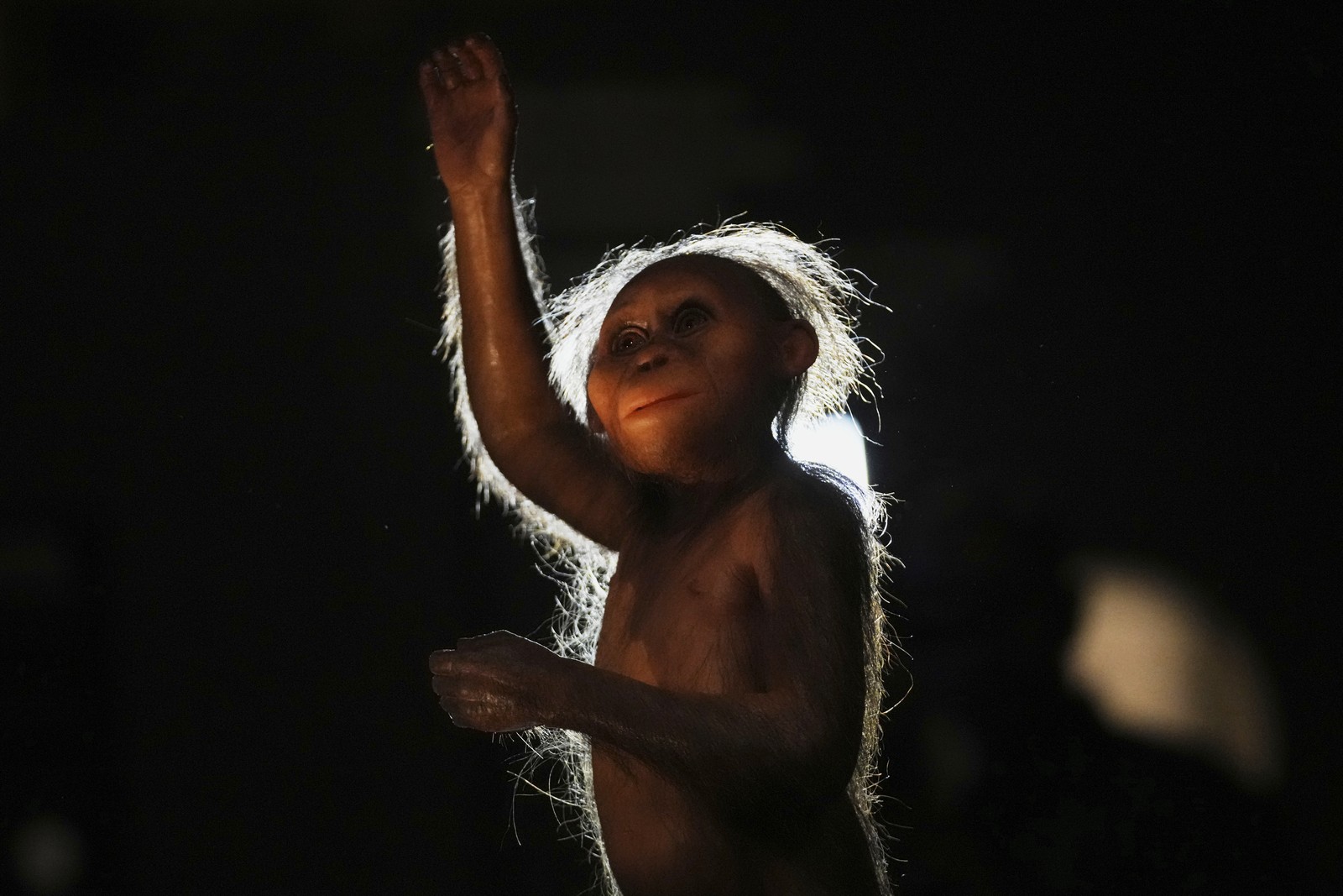 A small model of a prehistoric primate