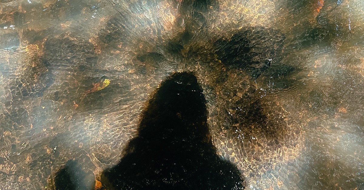 cdn.theatlantic.com image