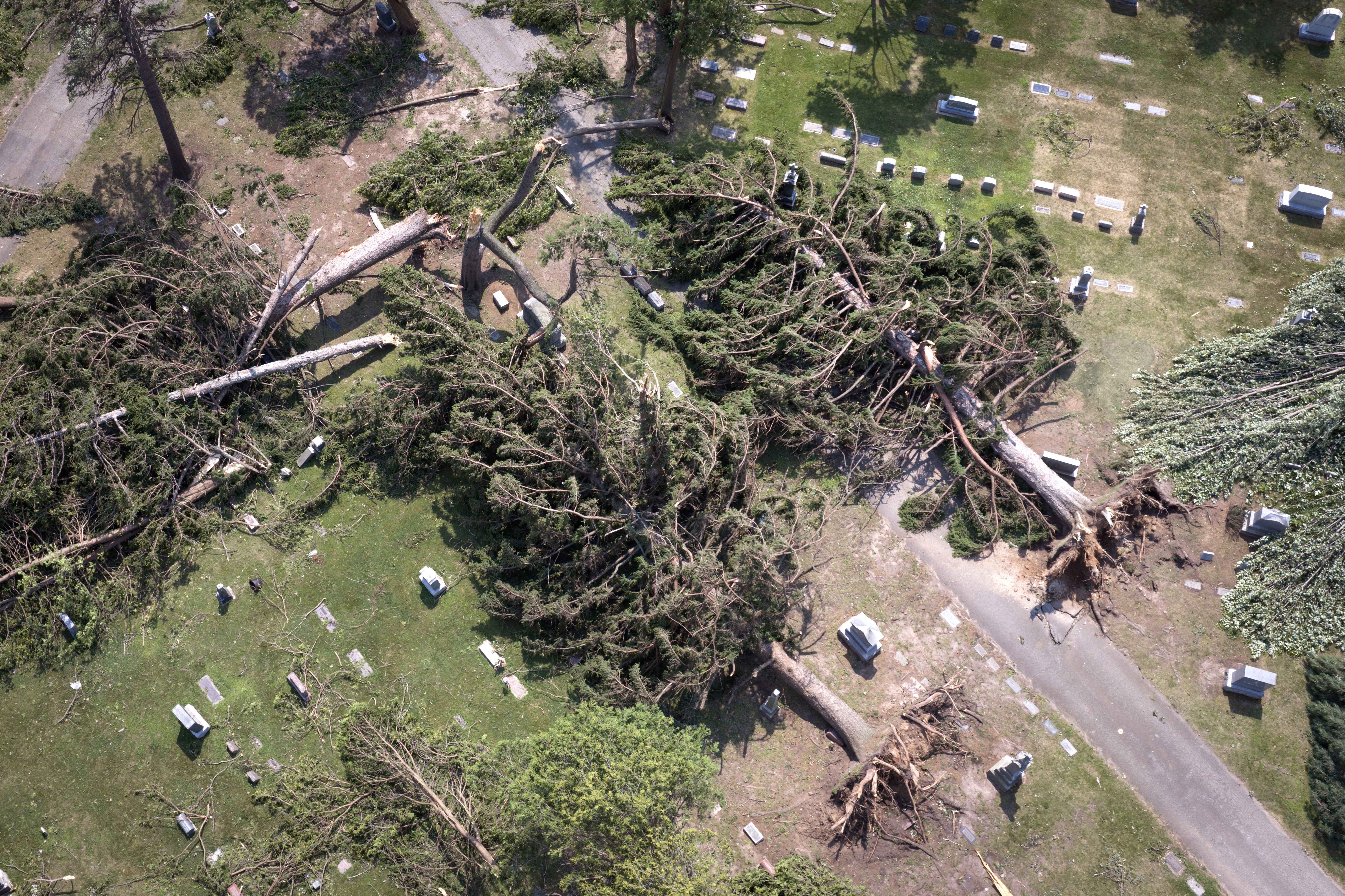 An aerial view shows fallen trees, knocked down by a tornado the day before.