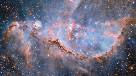 Sculpted by Stellar Winds