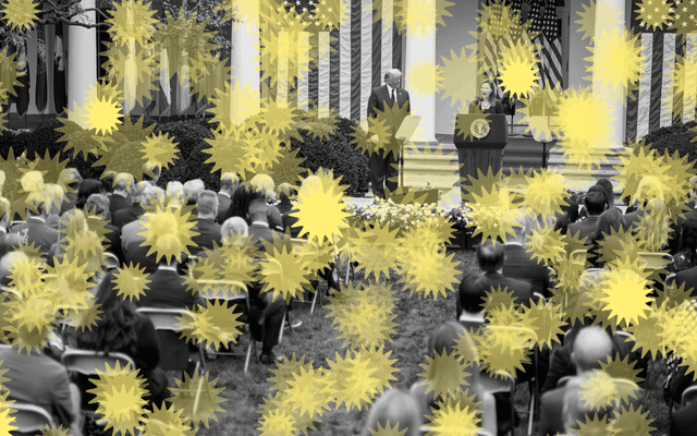 An illustration of Amy Coney Barrett and Donald Trump in the Rose Garden with coronavirus drawings around