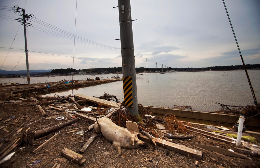 Japan Earthquake The Long Road to Recovery The Atlantic