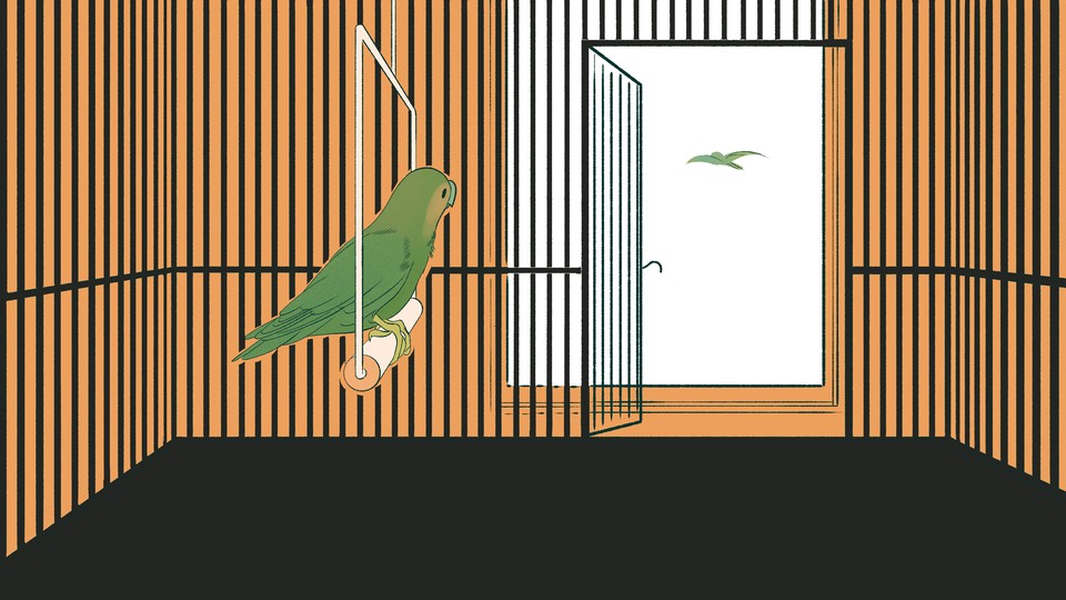 An illustration of a bird watching another bird fly away.