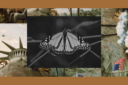 A monarch butterfly rests on a wire fence set into The Experiment’s image template.