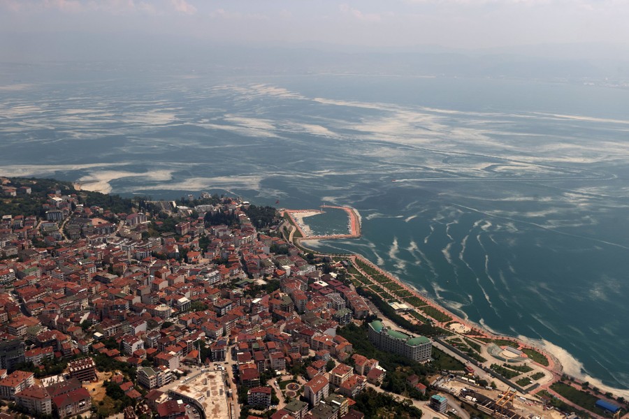 Patches of mucilage stretch great distances from a populated shoreline into a sea.