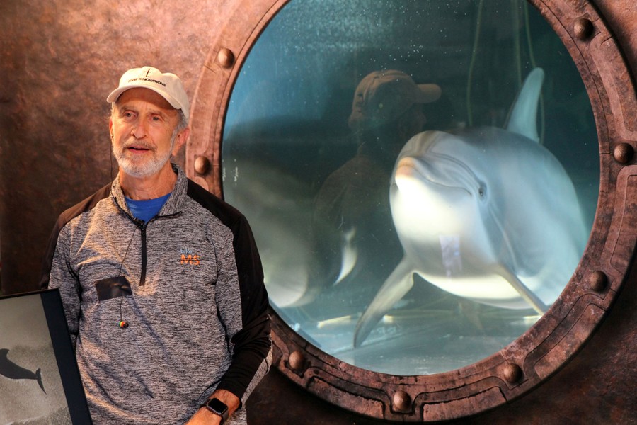 A man stands in front of a window of a tank with a lifelike dolphin inside.