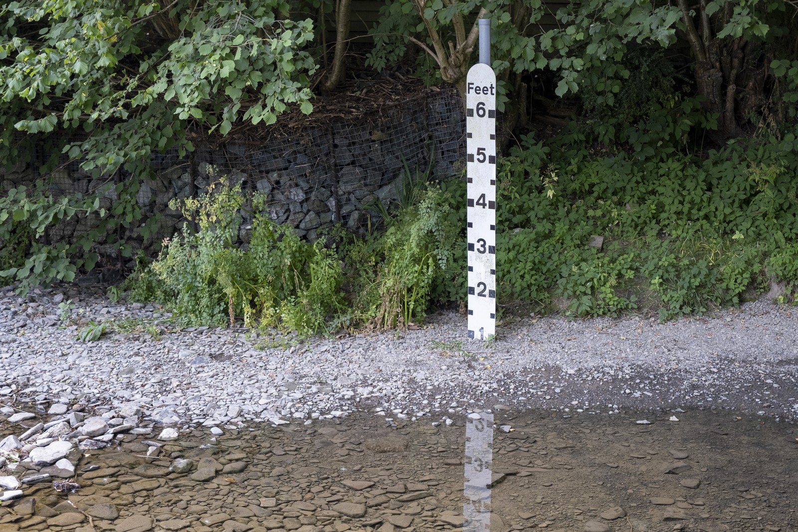 A 6-foot-tall water-level marker stands above the low water of a river.