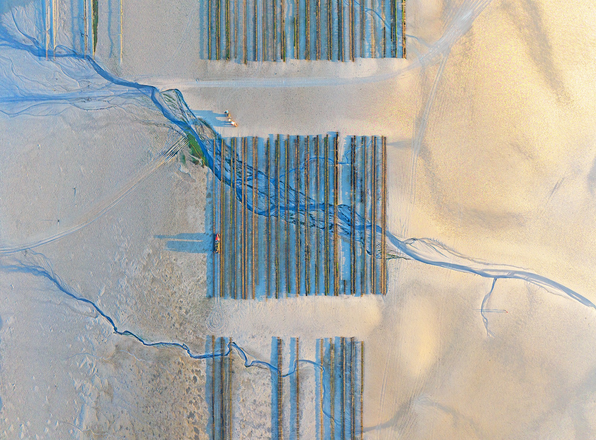 An aerial view of lines of racks, part of an oyster farm, set up on a beach with several stream paths visible in the sand.