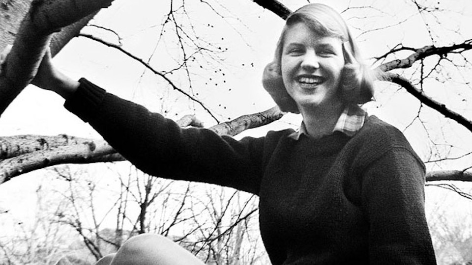 A photo of Sylvia Plath sitting in a tree, taken while she was a student at Smith College