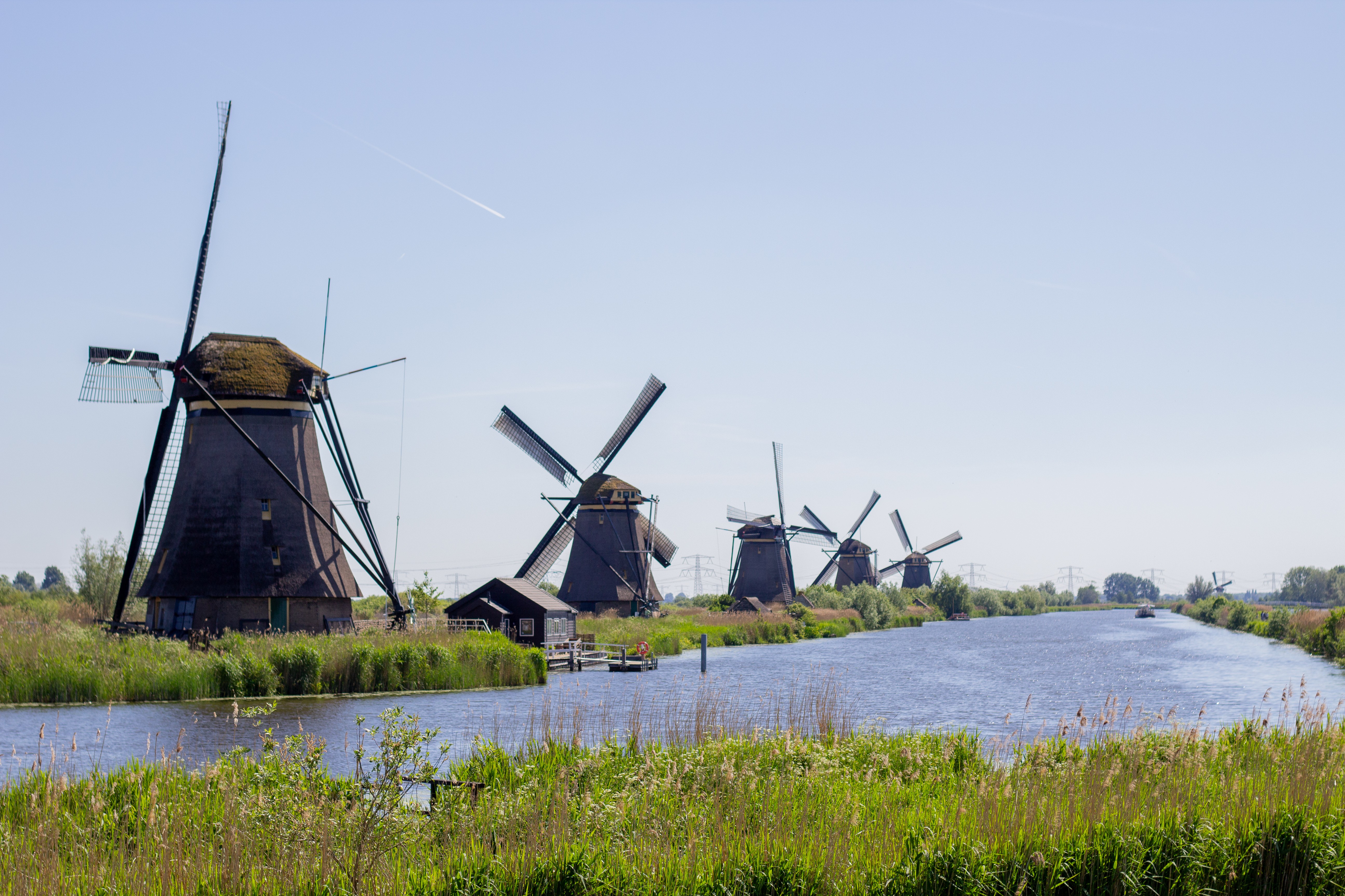 Five historic windmills stand along a canal in the Netherlands.