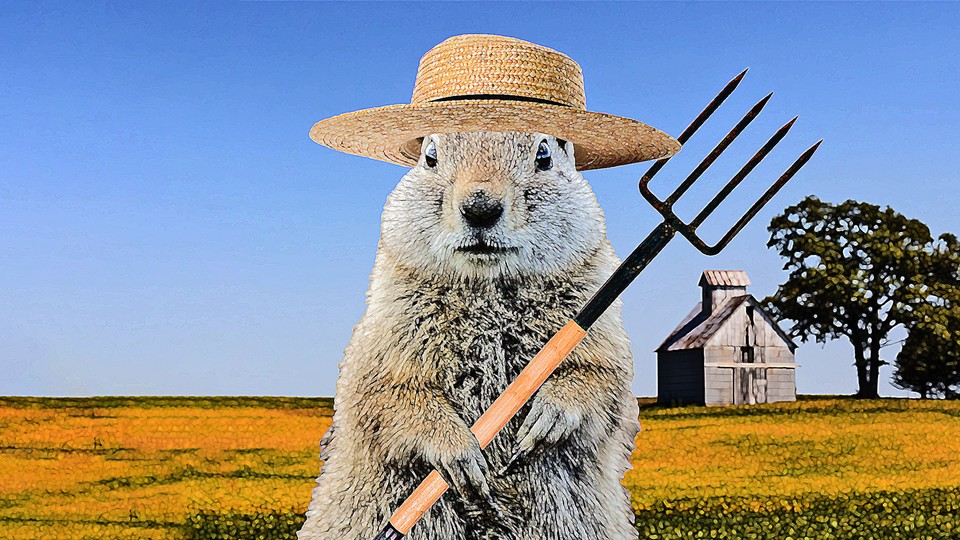 a gopher stylized to resemble the American Gothic painting