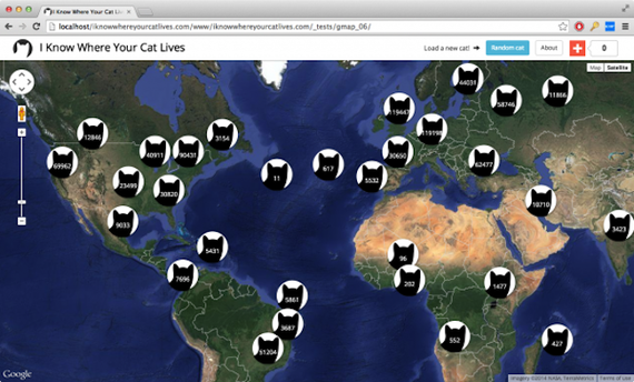 The Cats Of The World Mapped The Atlantic