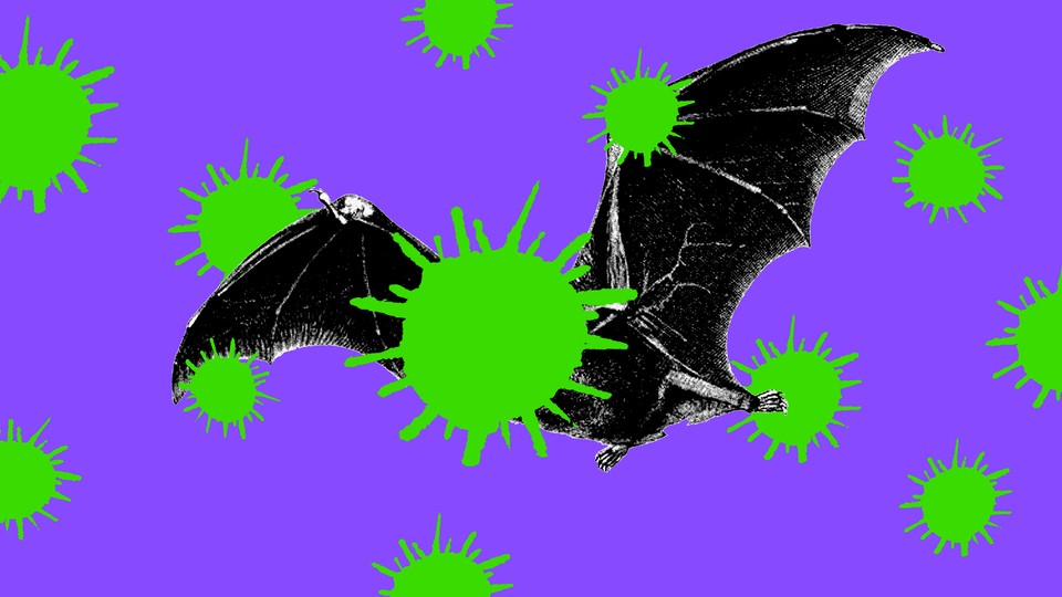 An illustration of a bat surrounded by giant coronaviruses